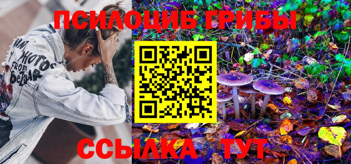 Галлюциногенные грибы Psilocybe  Галлюциногенные грибы Magic Shrooms  Кыштым  Вход с VPN 