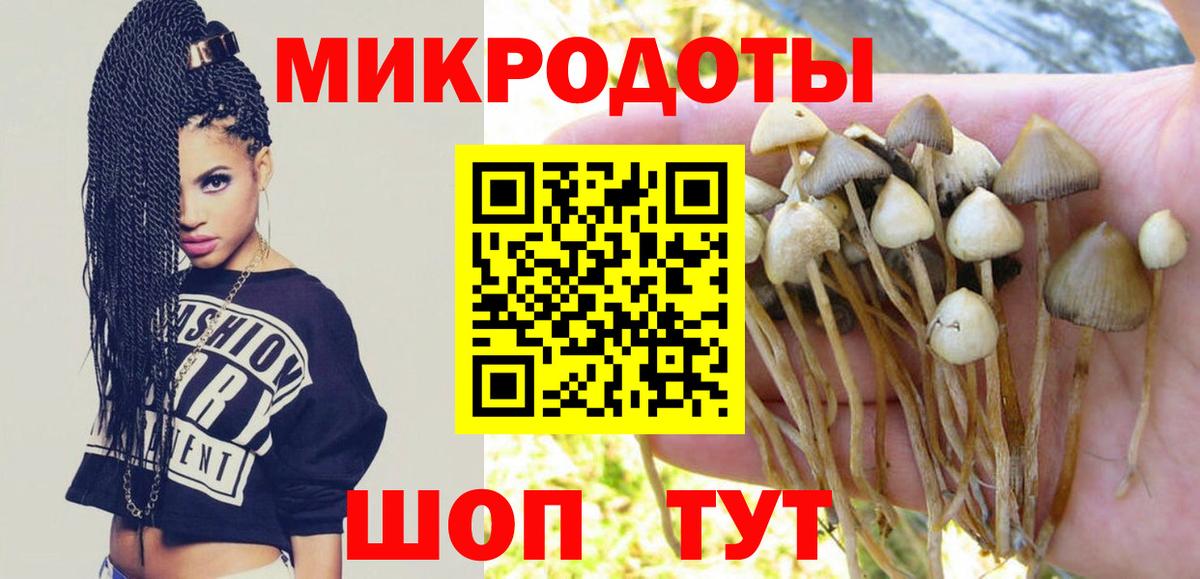 Галлюциногенные грибы MAGIC MUSHROOMS Кыштым